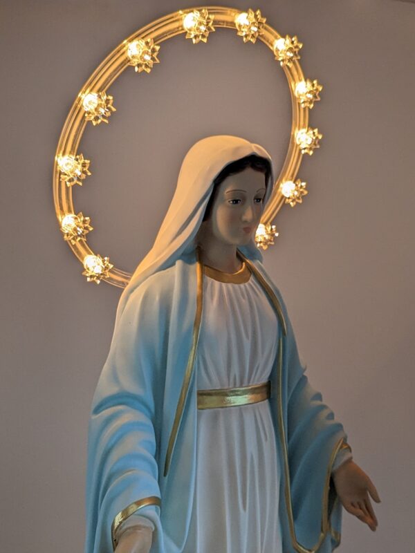 Statua Madonna Immacolata cm 30 in resina con aureola luminosa in  plexiglass - Ovunque Proteggimi