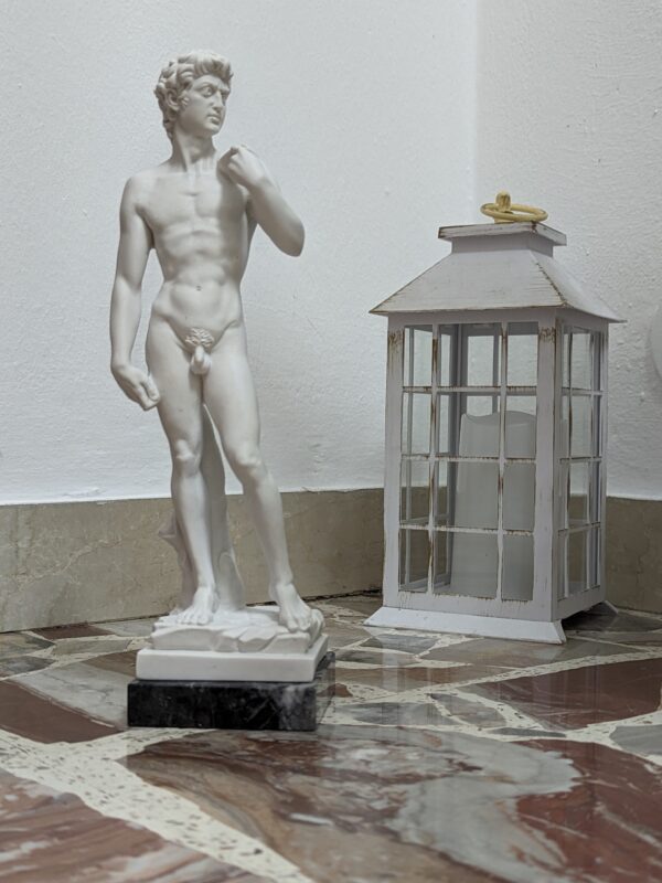 Statua David di Michelangelo cm 30